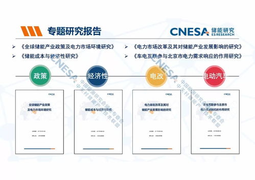 cnesa研究品牌及产品体系介绍